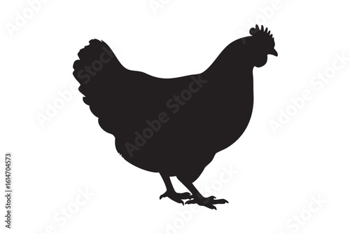 Black silhouette of a chicken standing on a white background fowl poultry