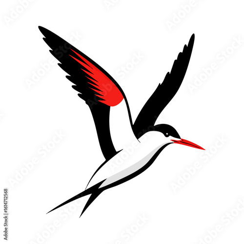 Dynamic Soaring Tern with Striking Red and Black Wing Markings