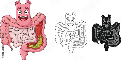 Cartoon colon illustration healthy digestive system concept