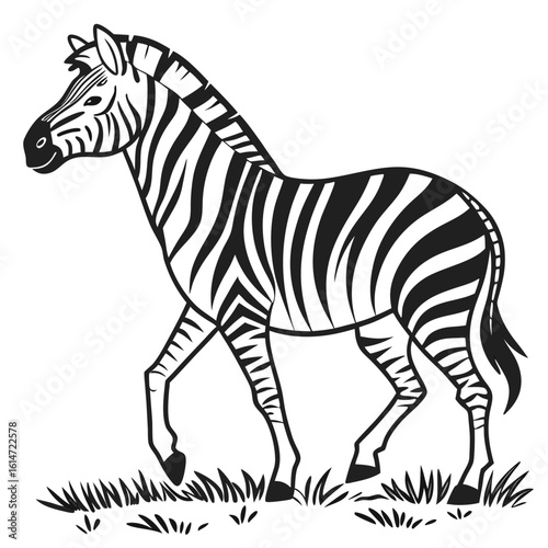 Isolated striped zebra vector illustration on a white background