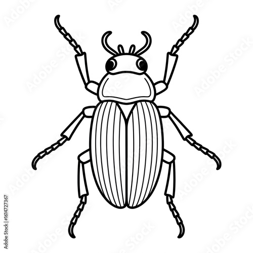 A tick illustration vector style coloring page 