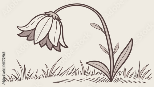 A vintagestyle illustration of a drooping flower with leaves and grass, evoking a sense of nostalgia and natural beauty