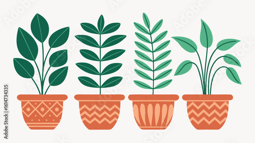Four potted houseplants with decorative terracotta pots on white background green leaf