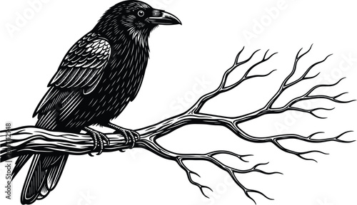 Mysterious raven perched on bare branch, a symbol of wisdom and transformation