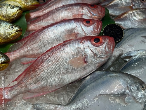 fishes selling in the supermarket