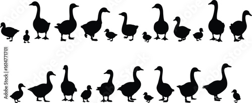 CAD Drawing Flat Vector Illustration, Ducks and Geese Silhouettes, Bird Family in Nature, Wildlife Animal Artwork, Pond Scene Composition