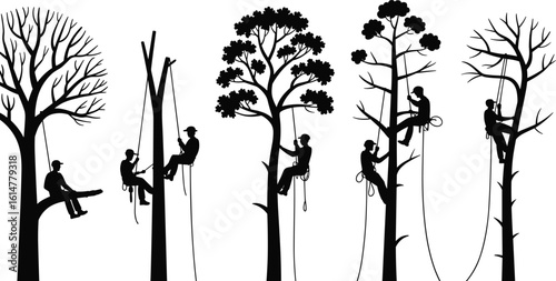 Tree climbers working in forest, arborists using rope, professional tree care, safety gear climbing, tree trimming illustration, outdoor arboriculture activity
