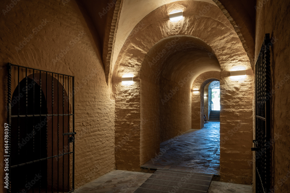 Fototapeta premium Sevilla, España. 1 de julio de 2025. Las amplias calles arboladas cerca del centro histórico de Sevilla, España,