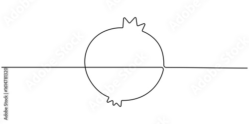 Continuous linear drawing of pomegranate. One line drawing garnet. Pomegranate in one line style. Vector illustration. 