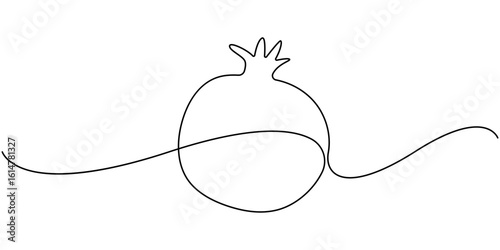 Continuous linear drawing of pomegranate. One line drawing garnet. Pomegranate in one line style. Vector illustration. 