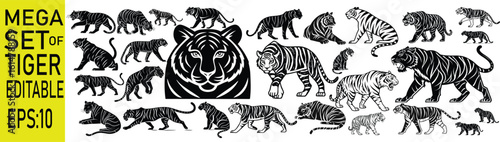collection of fierce tigers in various prowling stances black vector