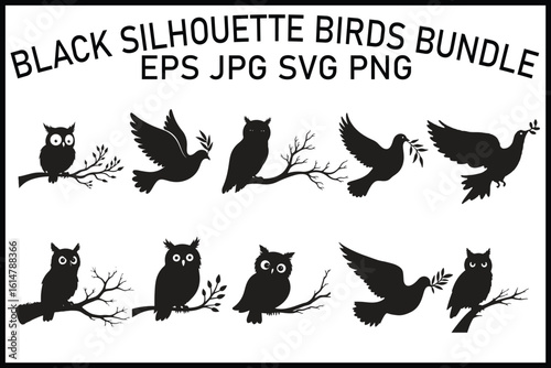 Adorable Penguin, duck.swift birds SVG Clipart Bundle