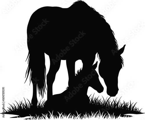 Mare and Foal Horse Silhouettes Vector Illustration, Mother and Baby Equine Bond, Farm Animals, Wildlife, Nature, Black and White.