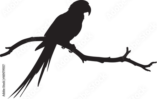 Adorable Penguin, duck.swift birds SVG Clipart Bundle