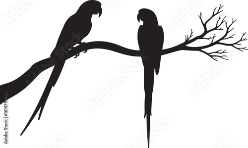 Adorable Penguin, duck.swift birds SVG Clipart Bundle