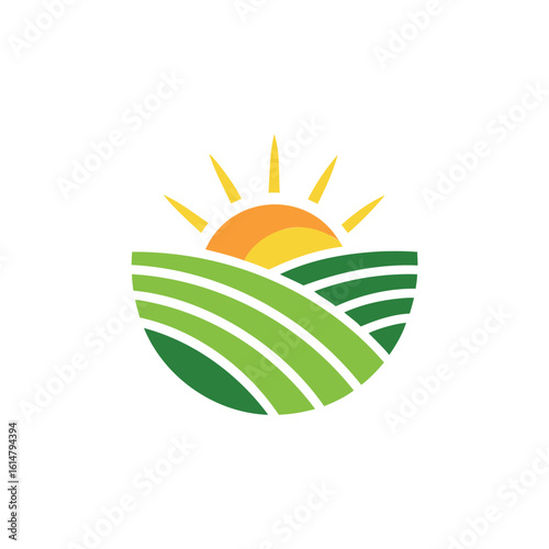Sunrise over rolling green agricultural fields
