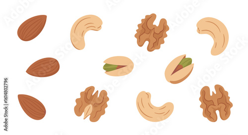 Assortment of Nuts: Delight in the variety of fresh, nutritious nuts, showcasing a vibrant, top-down view with each one ready to enhance your well-being.