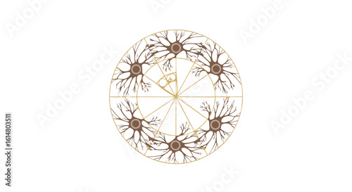 Elegant Circular Pattern: A mesmerizing symmetrical circular pattern in a minimalist style, composed of intricate, geometric arrangements, evoking a sense of balance and harmony.