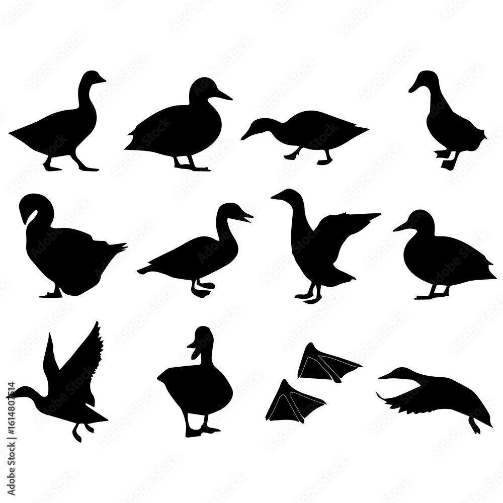 Obraz premium Set of bird silhouettes in various cute and cartoon styles for nature and wildlife design