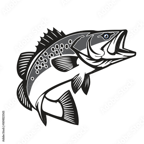 Speckled Trout Fish Illustration