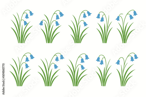 Collection of bluebell flower illustrations in various stages of bloom on white background