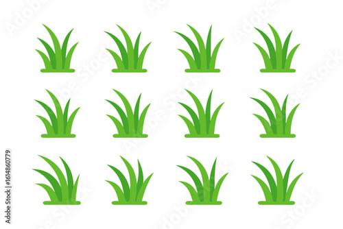 Collection of vibrant green grass blades on white background for design