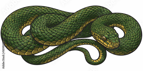 Vector illustration of a coiled snake with intricate scale patterns and a smooth green-to-gold gradient