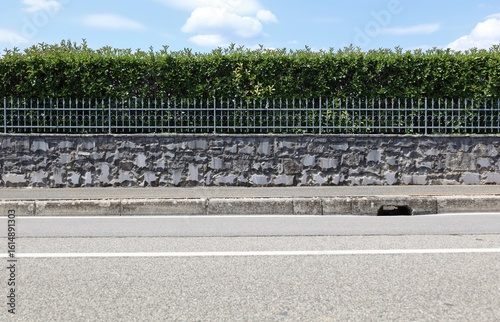 Wallpaper Mural Elegant fence consisting in stone wall, hedge and metal railing with spikes on top. Sky on behind, sidewalk and street in front. Background for copy space.  Torontodigital.ca