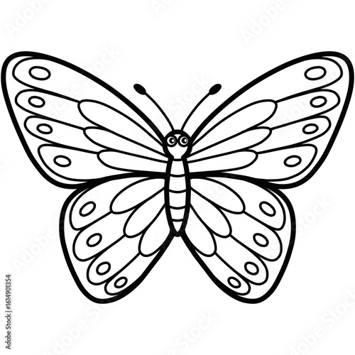 Canvas Print Hand drawn butterfly cartoon illustration outline