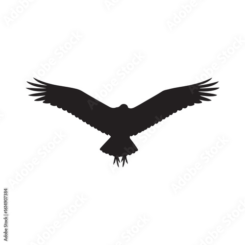 American black vulture silhouette vector flat illustration design