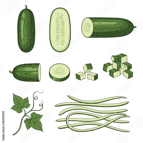 Whole sliced diced and chopped cucumber vegetables with green leaves and stems from a healthy diet and organic farming