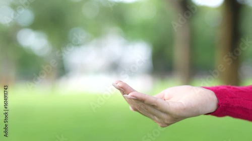 Technology,   Hands holding  globe of tropical nature summer background, 
