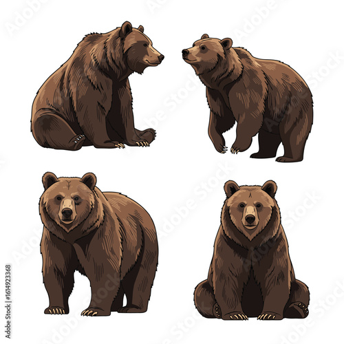 Four artistic depictions of mighty brown bears in varied poses showcasing their imposing presence and natural beauty