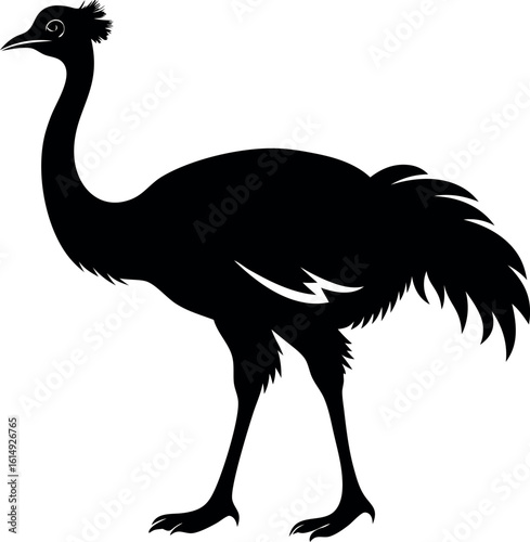 ostrich silhouette vector, emu bird black symbol