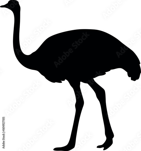 ostrich silhouette vector, emu bird black symbol
