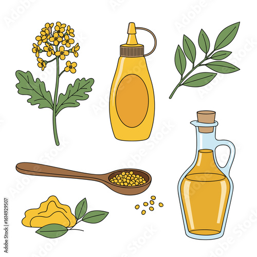 Mustard ingredients and preparations with oil and plant elements for cooking and healthy eating