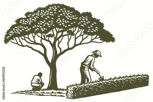 Gardener tending to hedge under a flowering tree.