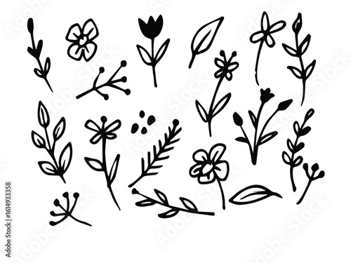 Flower abstract hand drawn brush ink stroke. Sketch hand drawn silhouette floral plant, nature graphic leaf, scribble grunge brush texture. Vector simple flower, leaf ink stroke. 