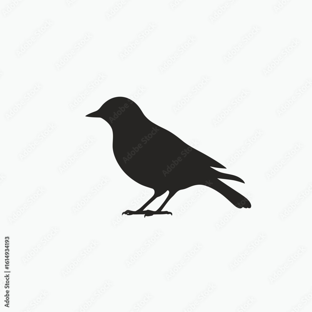 Obraz premium bird on a branch