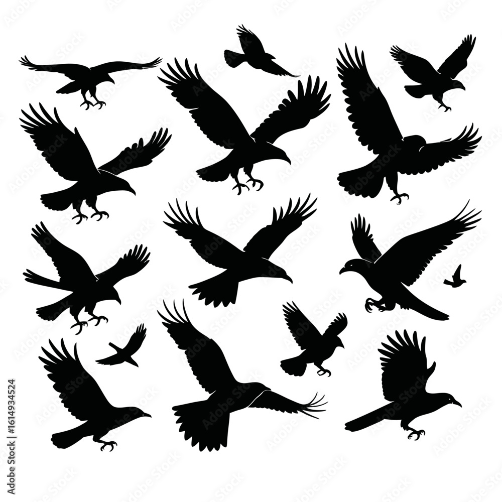 Fototapeta premium set of silhouettes of birds