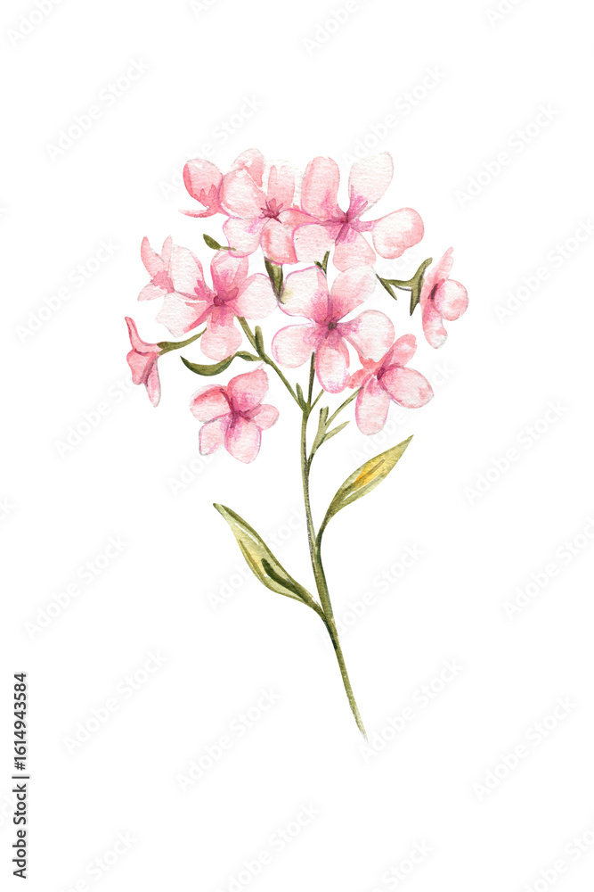 Obraz premium Hand-Drawn Pink Floral Cluster