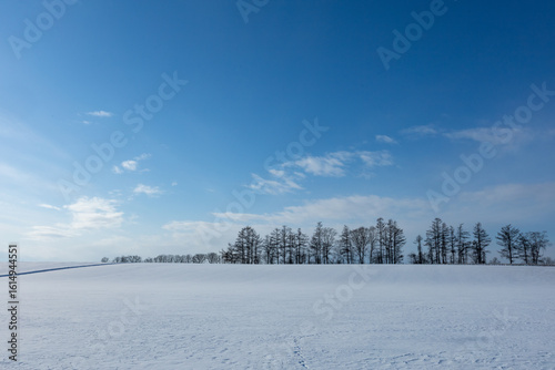 Wallpaper Mural Snow fields and forests under the blue sky Torontodigital.ca