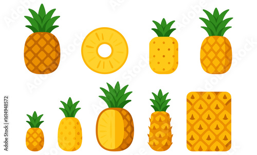 Flat style pineapple collection with whole, sliced, and pattern elements