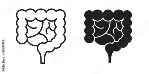 Large intestine icon set, line and black glyph style for food app website.