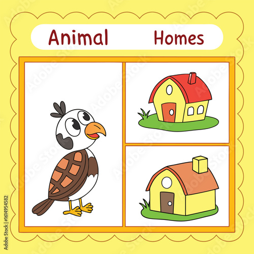 Learn About Animal Homes And Their Habitats For Kids