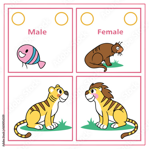 Learning About Animal Gender Differences Male and Female Creatures
