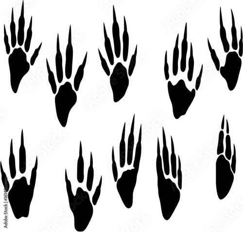 Armadillo footprints icon. Vector Illustration
