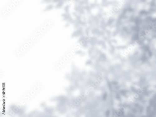 木の影が白色の壁に映る背景素材