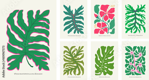 Tropical plant leaves llustration set. Modern botanical illustration of monstera, philodendron palm leaf, hibiscus flower, schefflera. Vector papercut matisse style leaves with playful vibrant colors