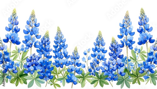 Floral border of vibrant bluebonnet flowers